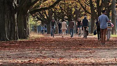 Park Reagana Gdańsk – Atrakcje, Zwiedzanie i Rekreacja